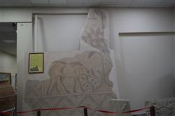 Malatya Arkeoloji Müzesi (10).JPG